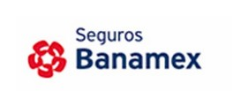 Logo de Seguros Banamex